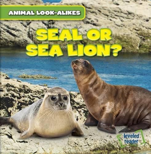 Cover image for Seal or Sea Lion?