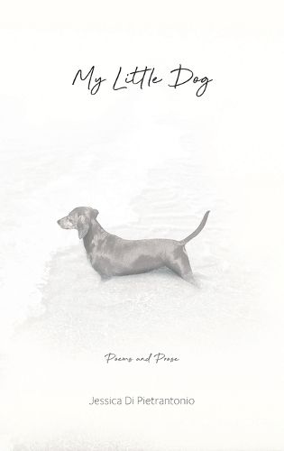 Cover image for My Little Dog