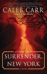 Cover image for Surrender, New York: A Novel