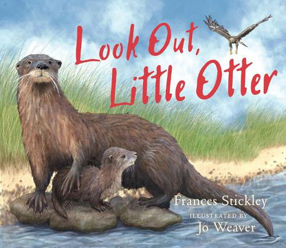 Cover image for Look Out, Little Otter