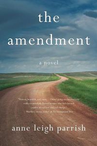 Cover image for The Amendment