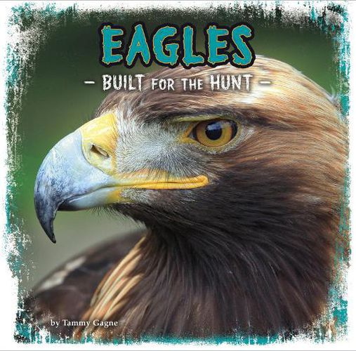 Eagles: Built for the Hunt