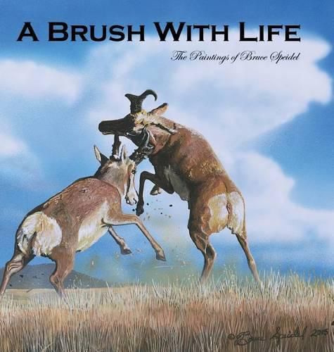 Cover image for A Brush With Life: The Paintings of Bruce Speidel