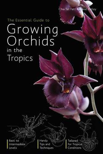 Cover image for The Essential Guide To Growing Orchids In The Tropics,