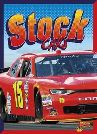 Cover image for Stock Cars