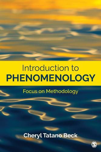 Cover image for Introduction to Phenomenology: Focus on Methodology