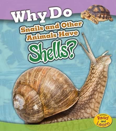 Cover image for Why Do Snails and Other Animals Have Shells? (Animal Body Coverings)