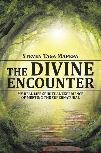 Cover image for The Divine Encounter: My Real Life Spiritual Experience of Meeting the Supernatural