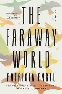 Cover image for The Faraway World: Stories