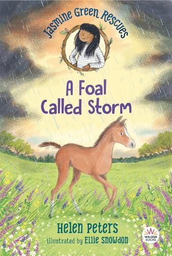 Cover image for Jasmine Green Rescues: A Foal Called Storm