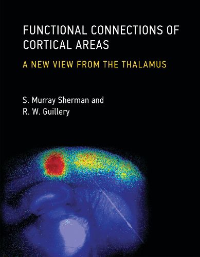 Cover image for Functional Connections of Cortical Areas: A New View from the Thalamus