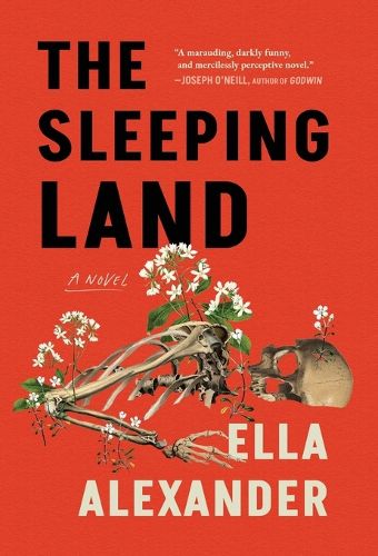 Cover image for The Sleeping Land