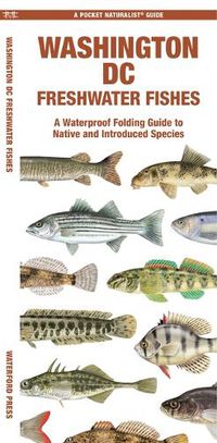 Cover image for Washington DC Freshwater Fishes