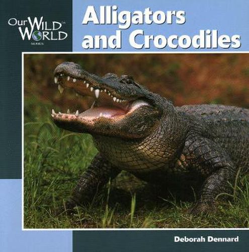 Cover image for Alligators and Crocodiles