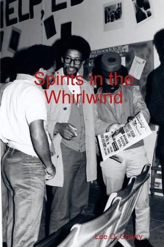 Cover image for Spirits in the Whirlwind