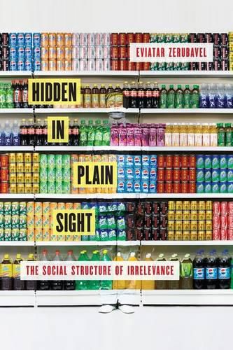 Cover image for Hidden in Plain Sight: The Social Structure of Irrelevance