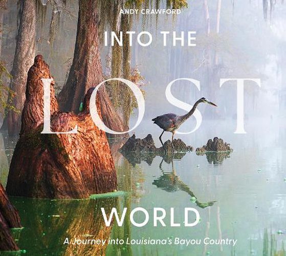 Cover image for Into the Lost World