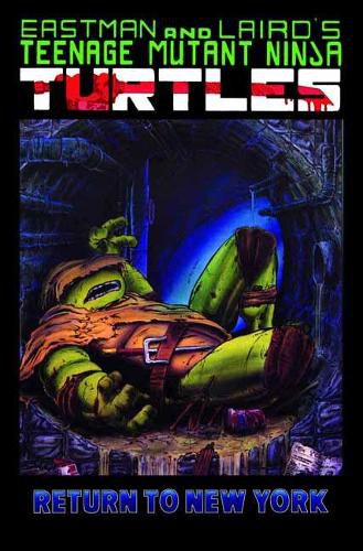 Cover image for Teenage Mutant Ninja Turtles Color Classics, Volume 3