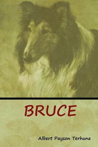 Cover image for Bruce