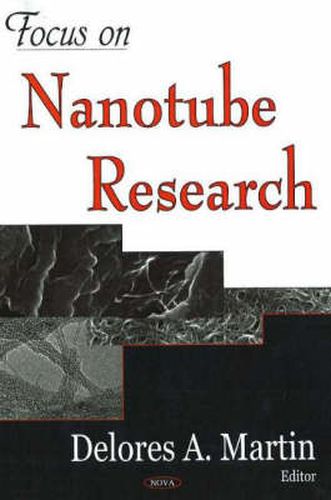 Cover image for Focus on Nanotube Research