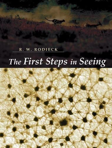 Cover image for The First Steps in Seeing