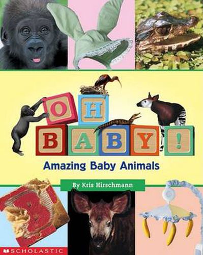 Cover image for Oh Baby!: Amazing Baby Animals