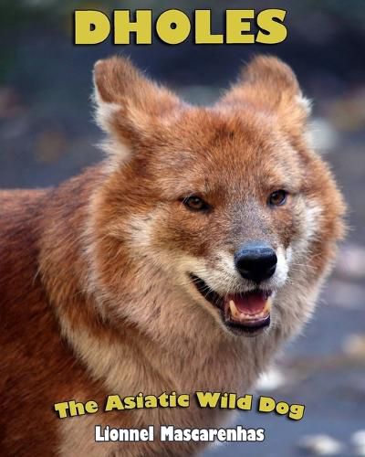 Cover image for Dholes