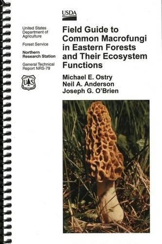 Field Guide to Common Macrofungi in Eastern Forests and Their Ecosystem Functions