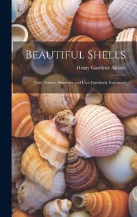 Cover image for Beautiful Shells