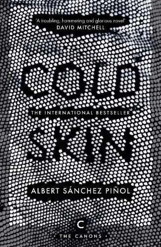 Cover image for Cold Skin