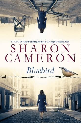 Cover image for Bluebird