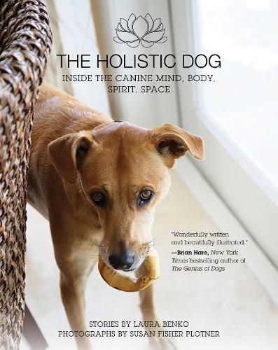 Cover image for The Holistic Dog: Inside the Canine Mind, Body, Spirit, Space