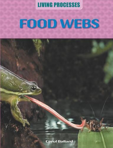 Cover image for Food Webs