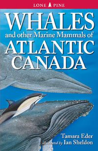 Cover image for Whales and Other Marine Mammals of Atlantic Canada