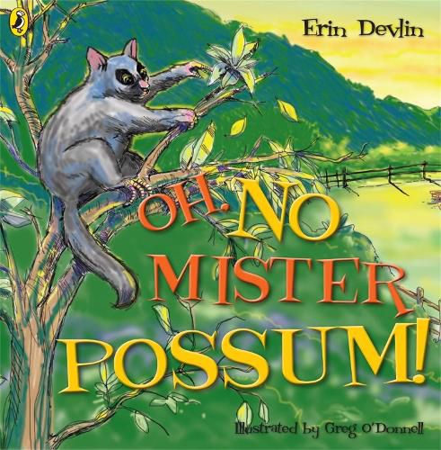 Cover image for Oh, No Mister Possum!