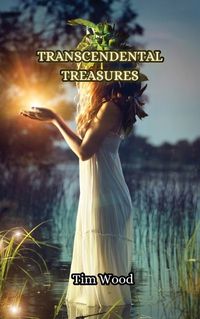 Cover image for Transcendental Treasures