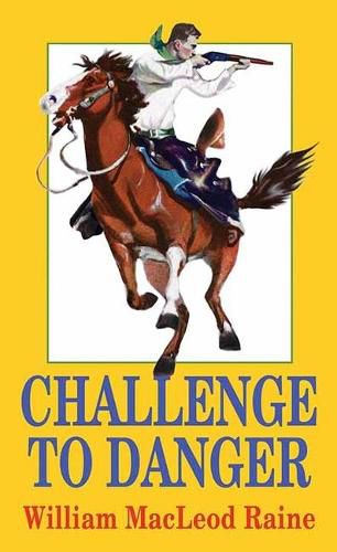 Cover image for Challenge to Danger