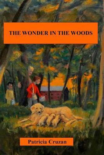 Cover image for The Wonder in the Woods