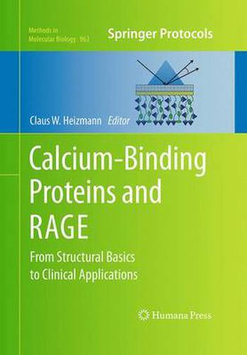 Cover image for Calcium-Binding Proteins and RAGE: From Structural Basics to Clinical Applications