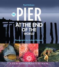 Cover image for The Pier at the End of the World