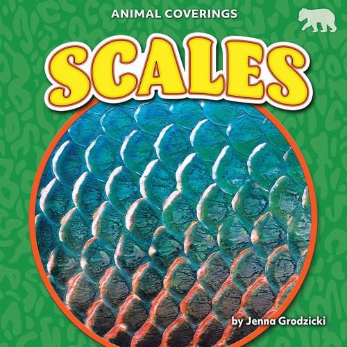 Cover image for Scales