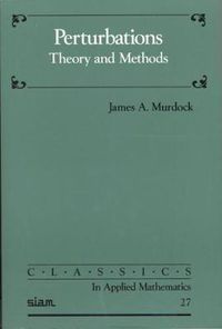 Cover image for Perturbations: Theory and Methods