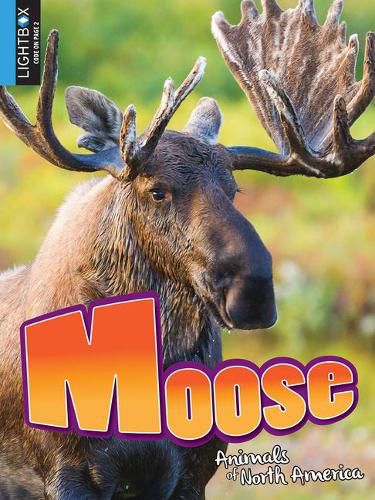 Cover image for Moose