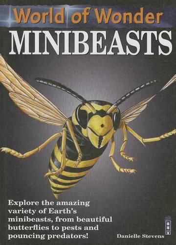 Cover image for Minibeasts