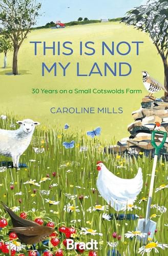 Cover image for This is not my land