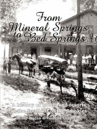 Cover image for From Mineral Springs to Bed Springs: A History of Hotels and Resorts in the Foothills of the Smokies