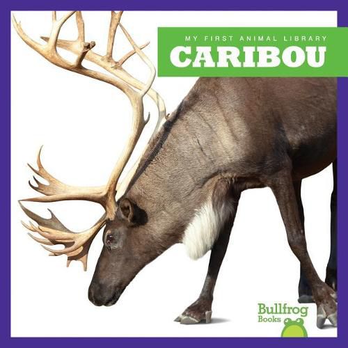 Cover image for Caribou