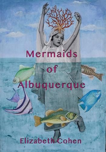 Cover image for Mermaids of Albuquerque