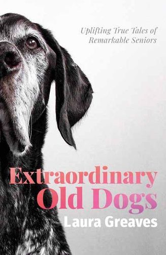 Cover image for Extraordinary Old Dogs