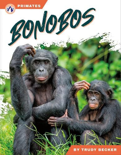 Cover image for Bonobos
